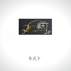 車(chē)天下